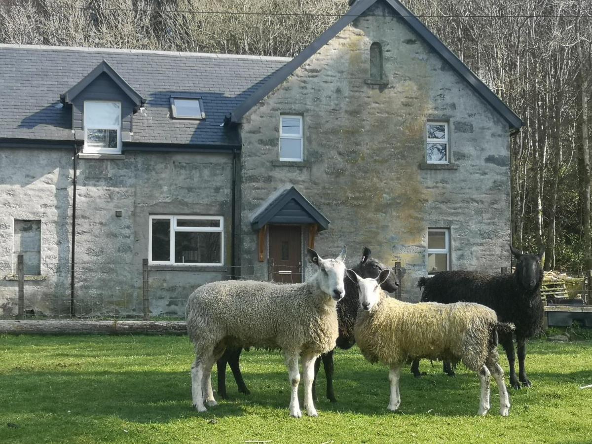 Ederline Farm Guest House Ford  Bagian luar foto